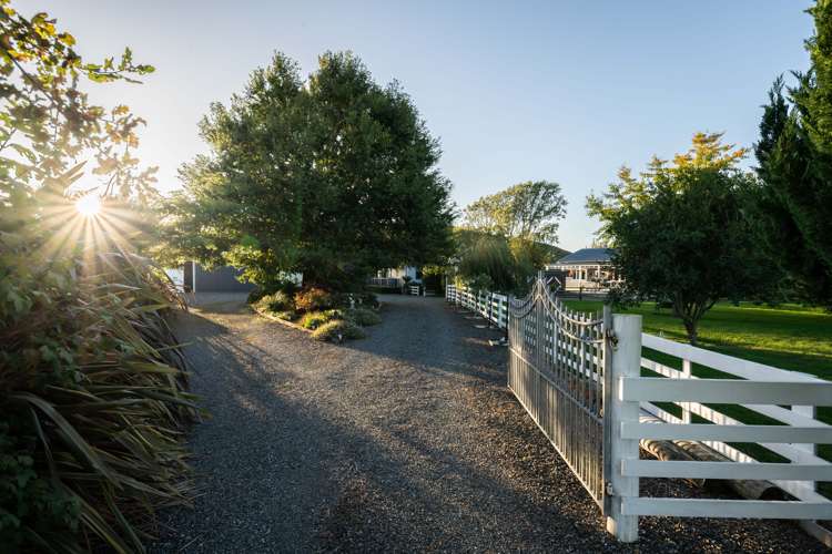 772 Roto O Rangi Road Rotoorangi_24