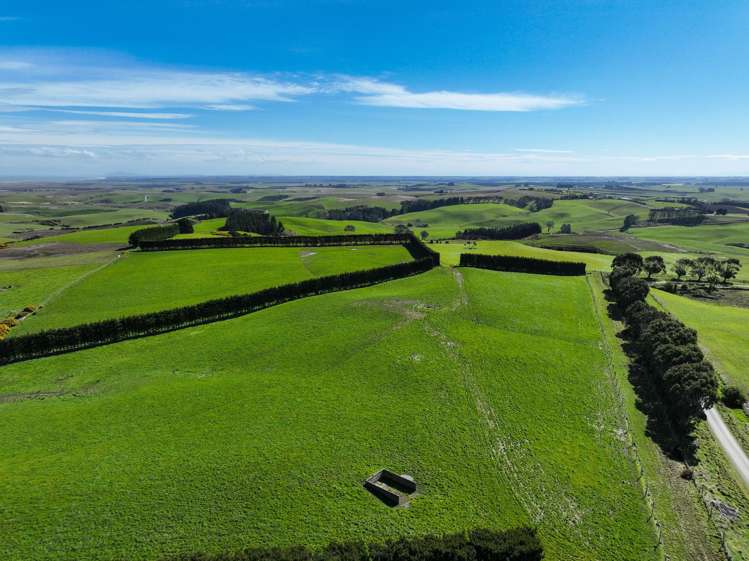 300 Jacks Hill Road Waimahaka_8