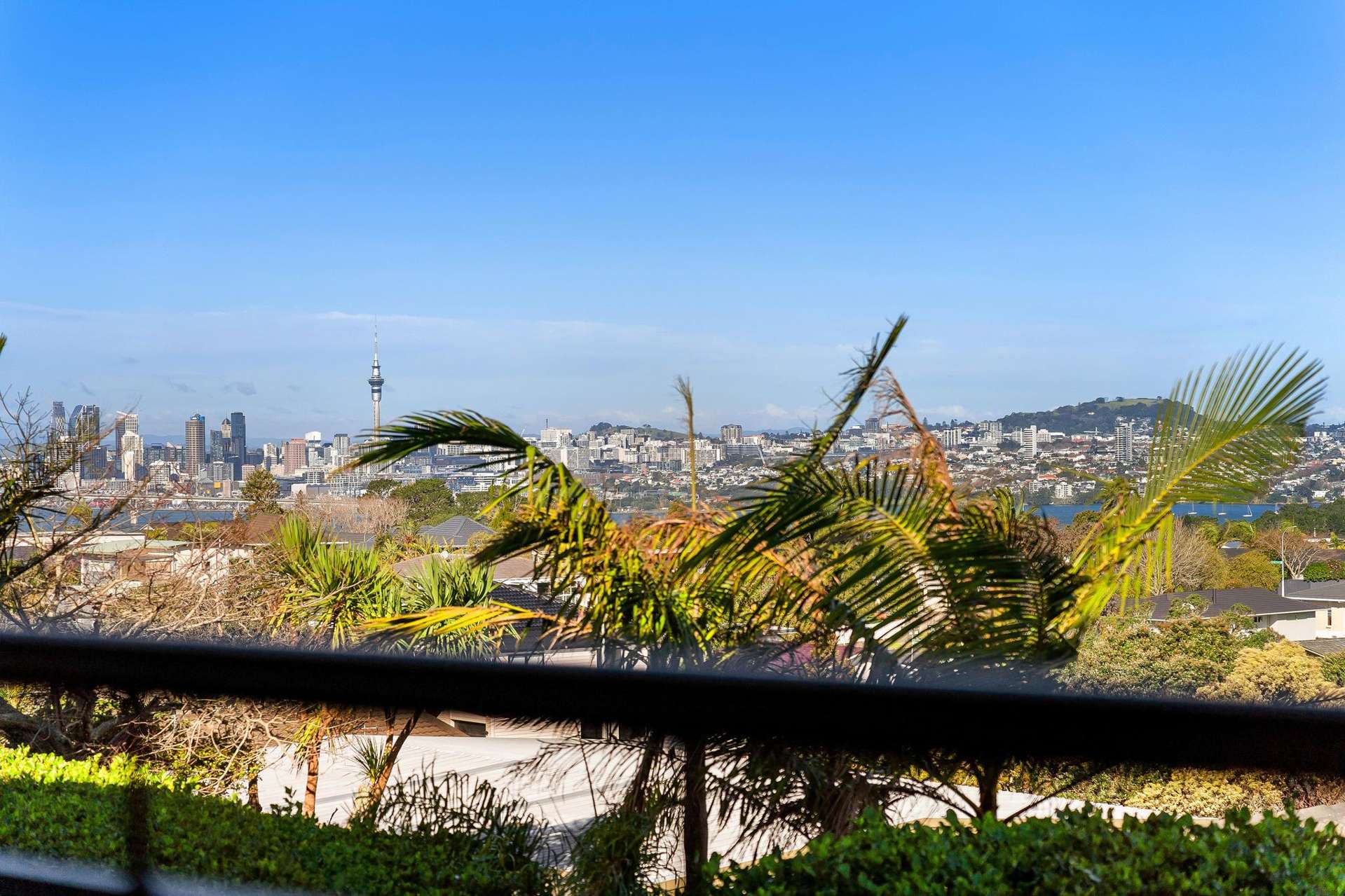 15/166 Mokoia Road Chatswood_0