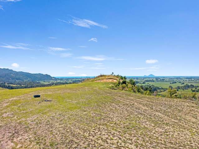 9 Kāhu Lane Awakaponga_1