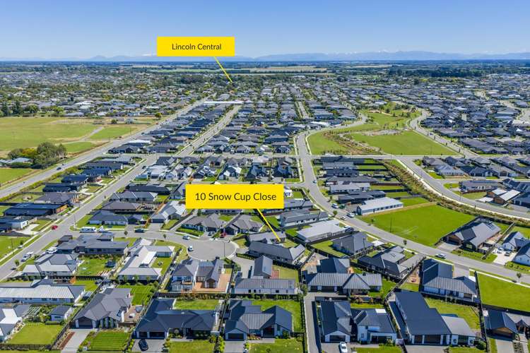 10 Snow Cup Close Lincoln_48
