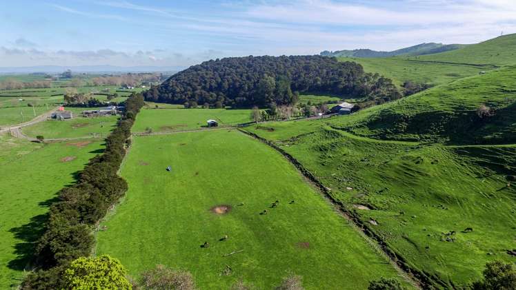 59 Block Road Hikutaia_17