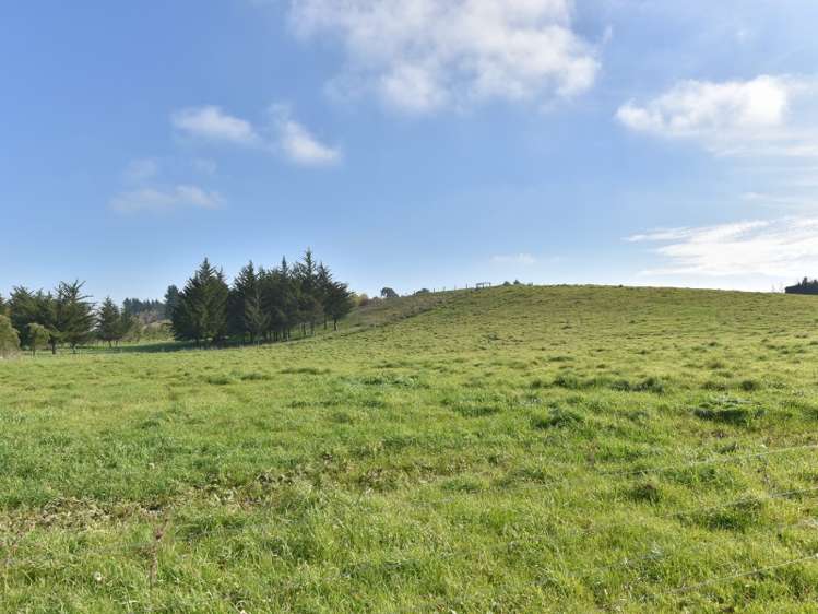 836 Oxford Road Fernside_7