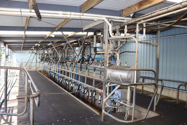 50 Bedford Road North Inglewood_3