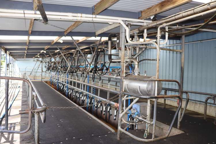 50 Bedford Road North Inglewood_3