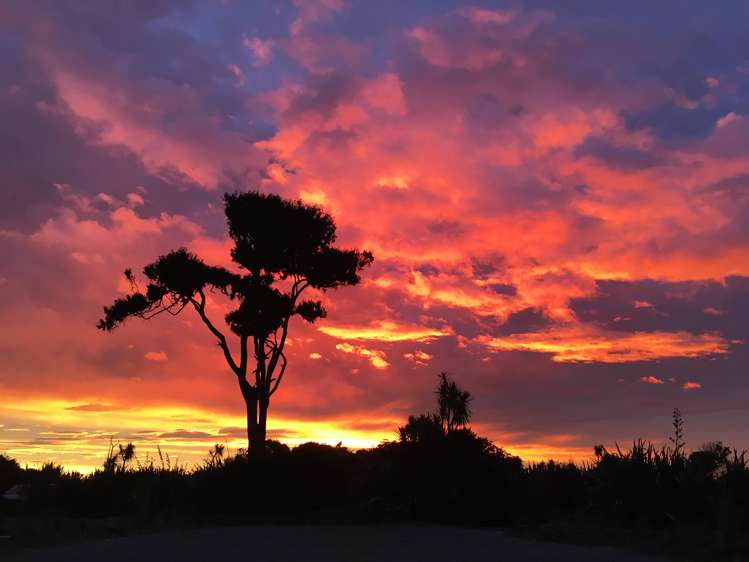 Hannahs Clearing Jackson Bay_2