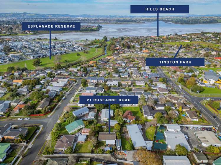 21 Roseanne Road_5
