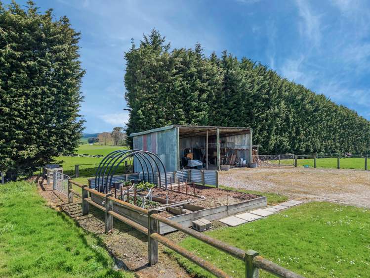 373 Camp Hill Road Rongahere_34