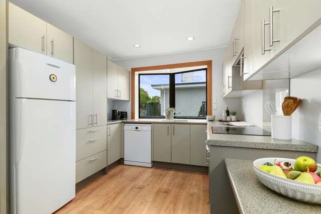 66 Queens Grove Hutt Central_3