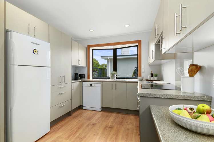 66 Queens Grove Hutt Central_3