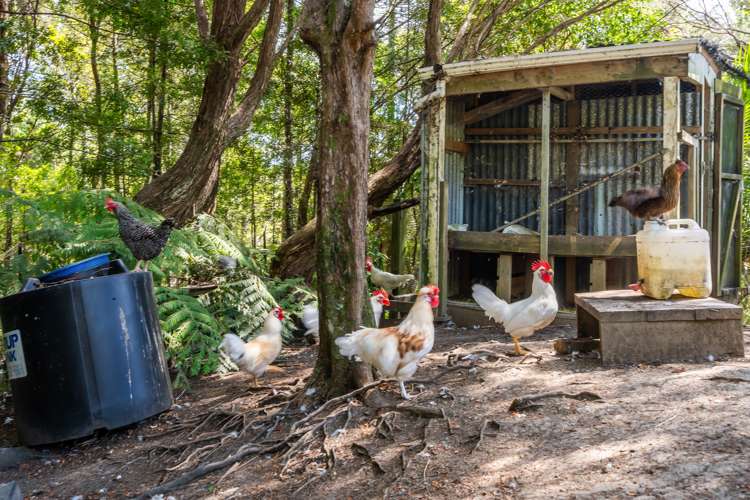 202 Albany Heights Road Albany Heights_21