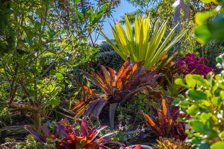 41a Kotare Street Waikanae_15