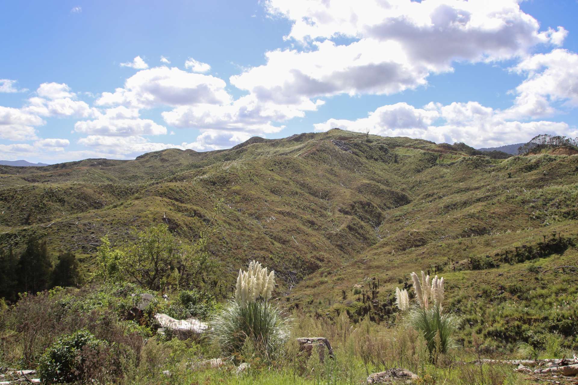 Broadwood Road Broadwood_0