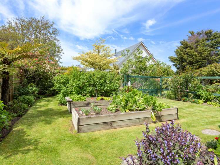 19 Purkiss Street Springlands_22