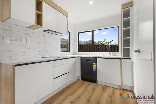 20B Taonui Street Rosehill_1