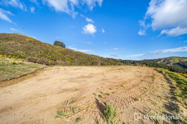 17 Ahoroa Estate Judgeford_6