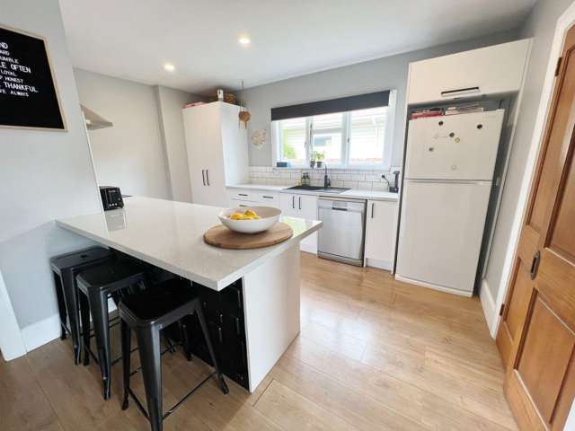 49 Dominion Av Spreydon_1