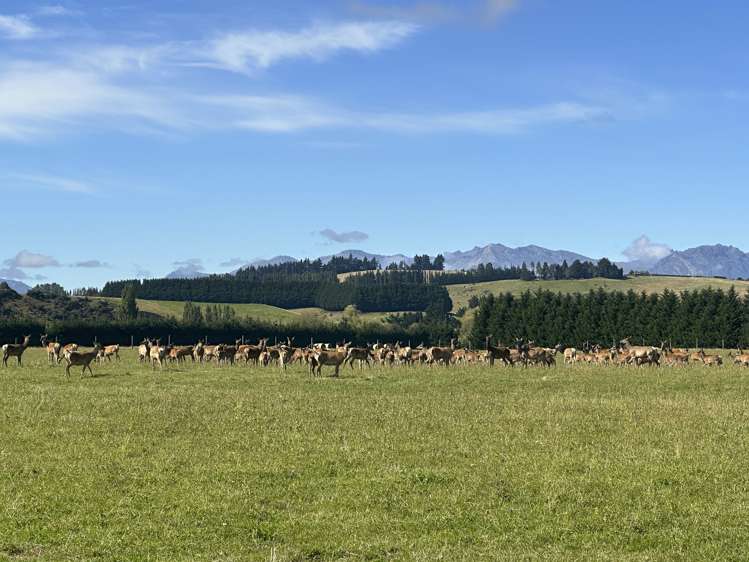 561 Te Anau Mossburn Highway Te Anau_6