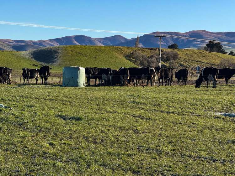 80 McDonald Road Wendonside_9