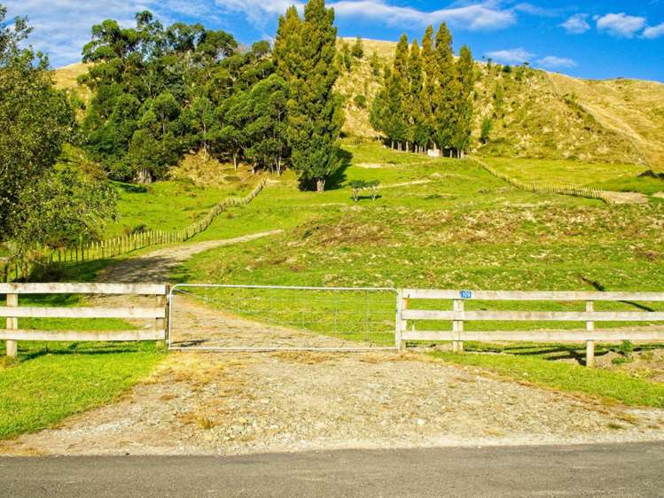 109 Darwin Road Outer Kaiti_11