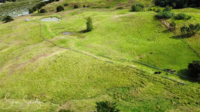 215c Heatley Road Whakapirau_4