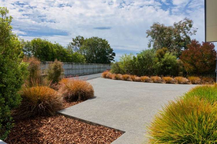 219B Beach Road Kaikoura_2