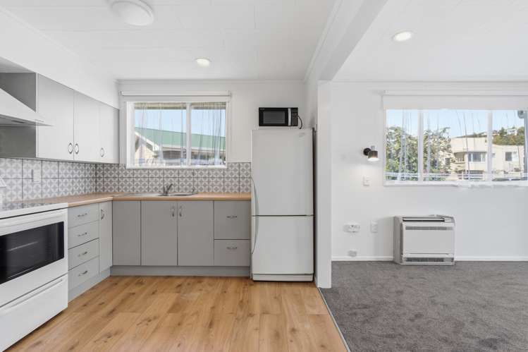 17B Ruskin Terrace_3