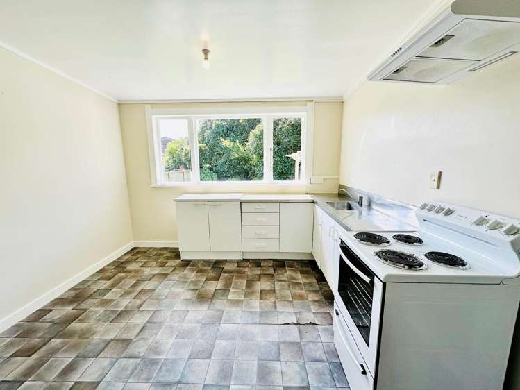 58 Ivanhoe Road Grey Lynn_6