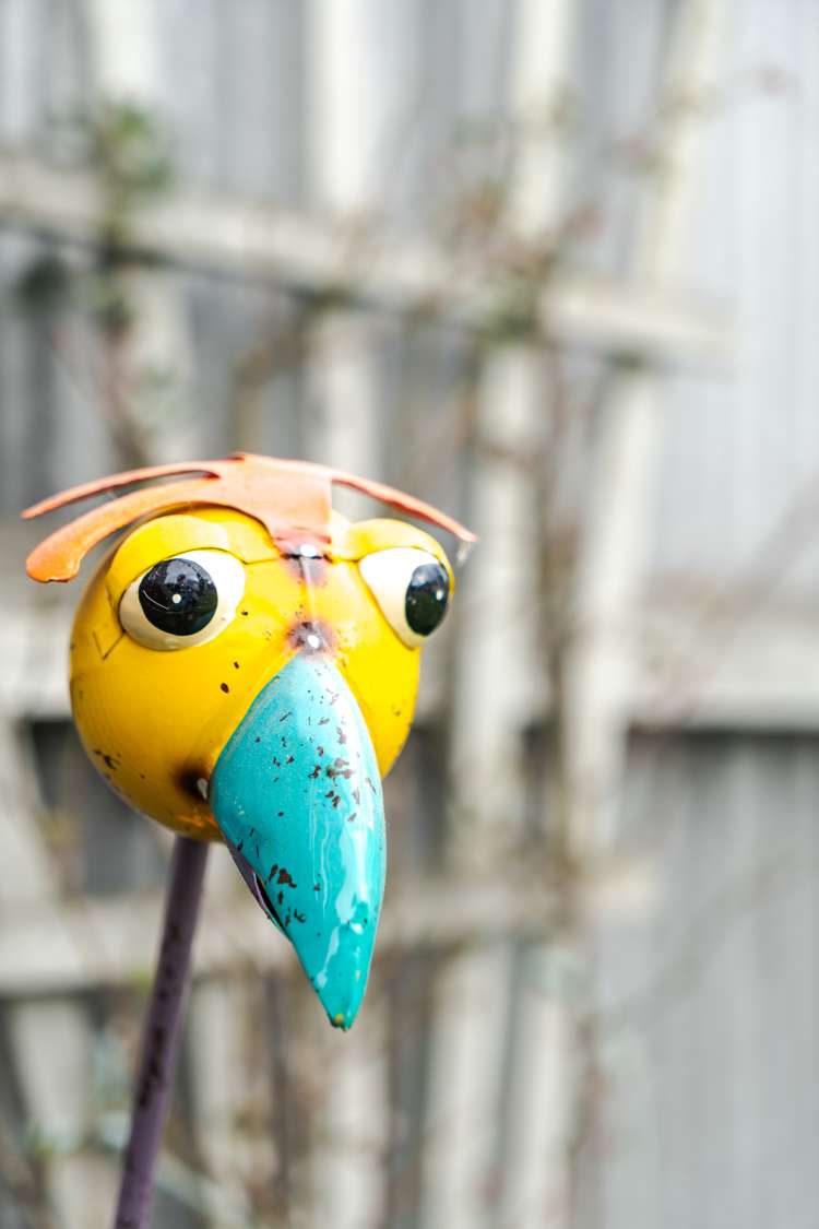 28 Tinokore Street Hei Hei_16