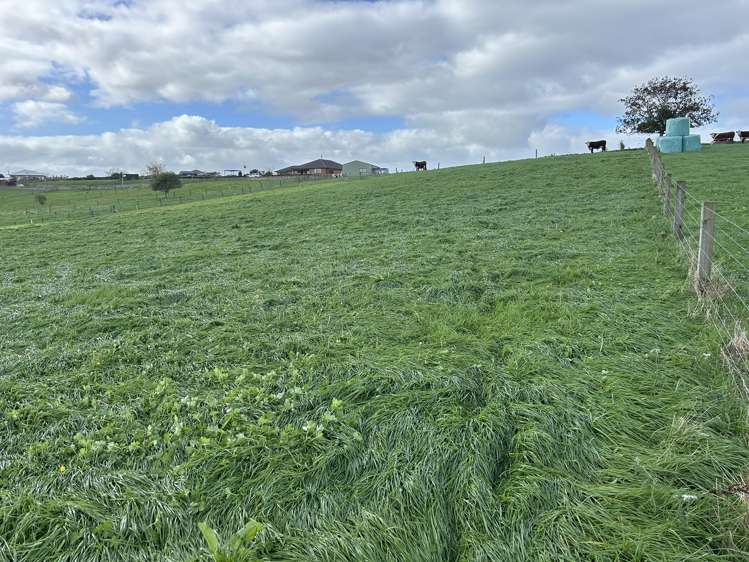 173 Ngahape Road Te Awamutu_7