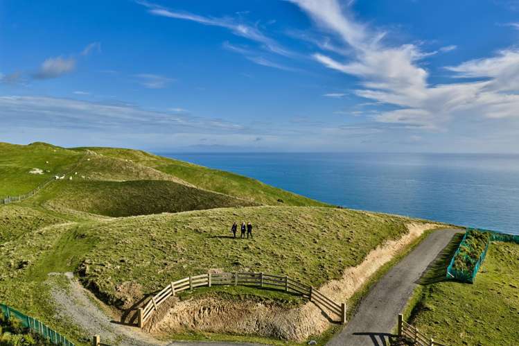 Lot 2,3 and 5/1275 Paekakariki Hill Road Paekakariki Hill_7