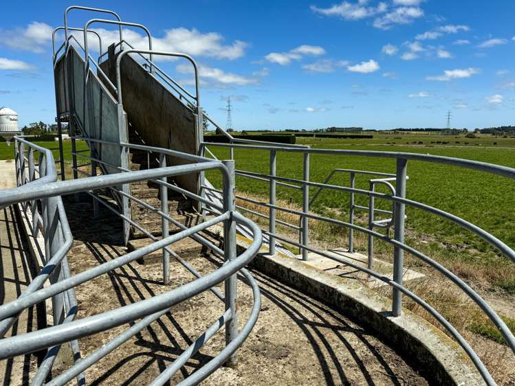 251 Rakahouka Hedgehope Road Mabel Bush_18