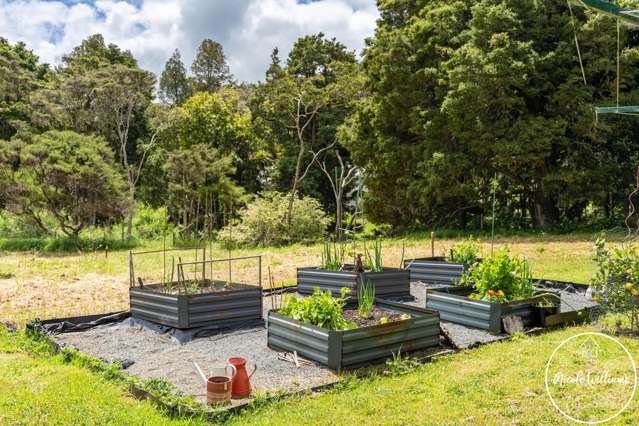 437 Paparoa Station Road Paparoa_4