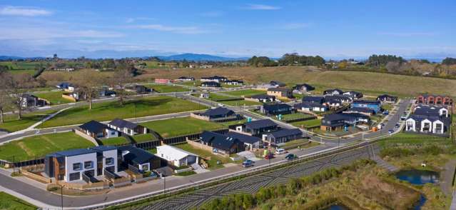 Lot 18 3 Halo Green Peacockes_3