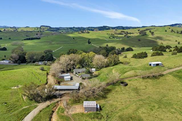 Entry-level dairy farm - back to basics!