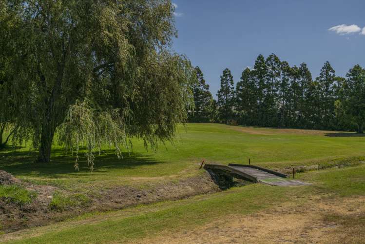 28 The Dividend Pauanui_4