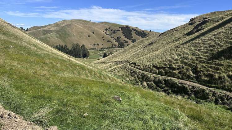 Mikimiki Road Masterton_8