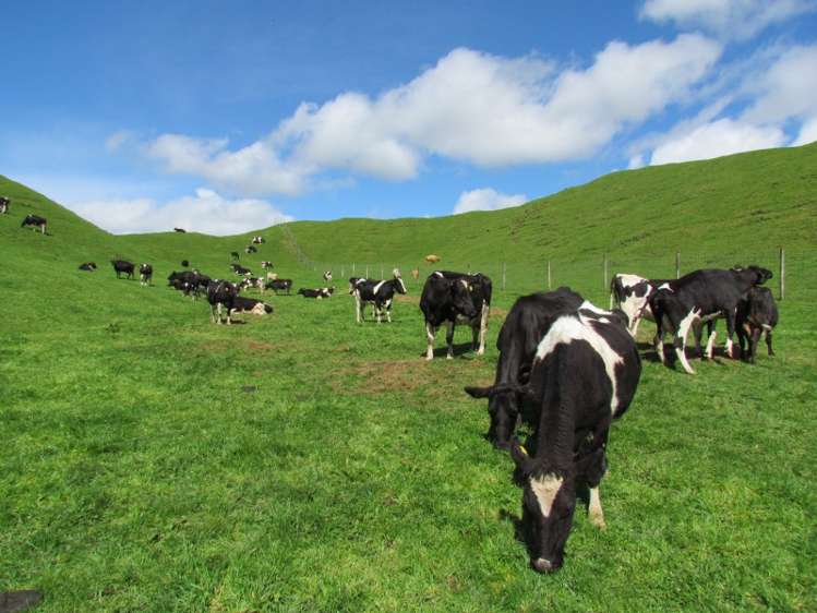 1840 Manawahe Road Manawahe_8