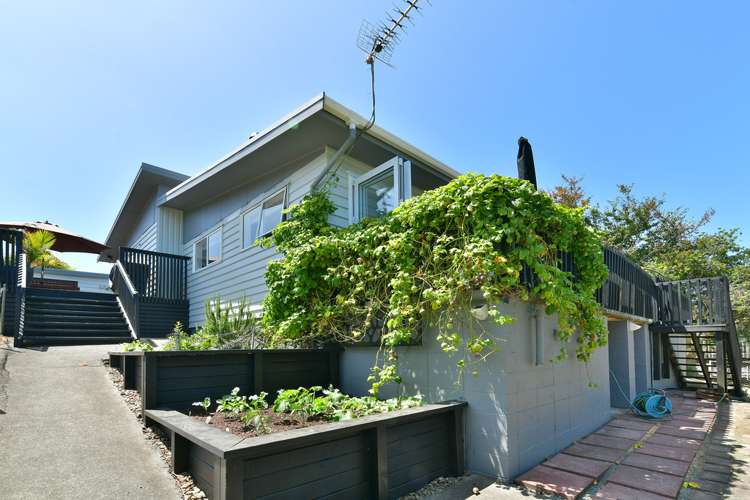 15 John Road Stanmore Bay_13