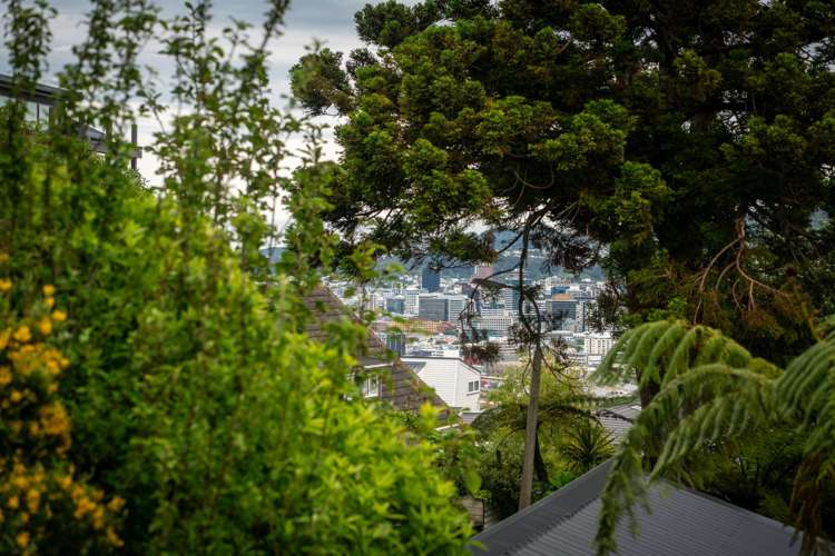 5A Ranikhet Way Khandallah_19