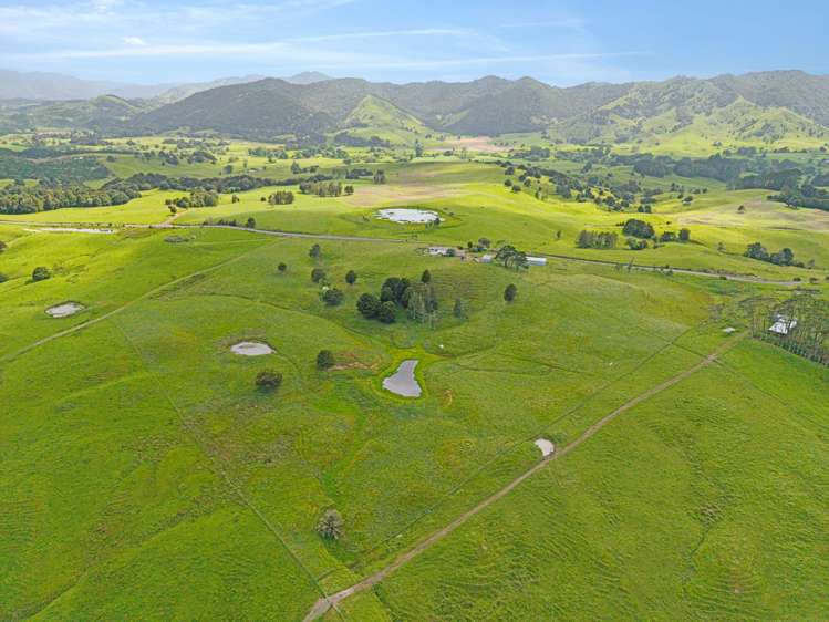 201 Avoca North Road Tangowahine_2