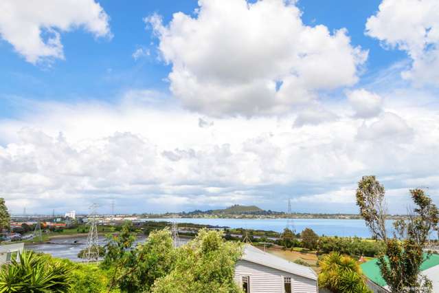 2/25 Arthur Street Onehunga_3