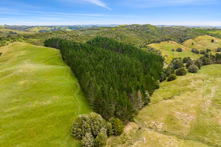 1228a Bull Road Paparoa_24