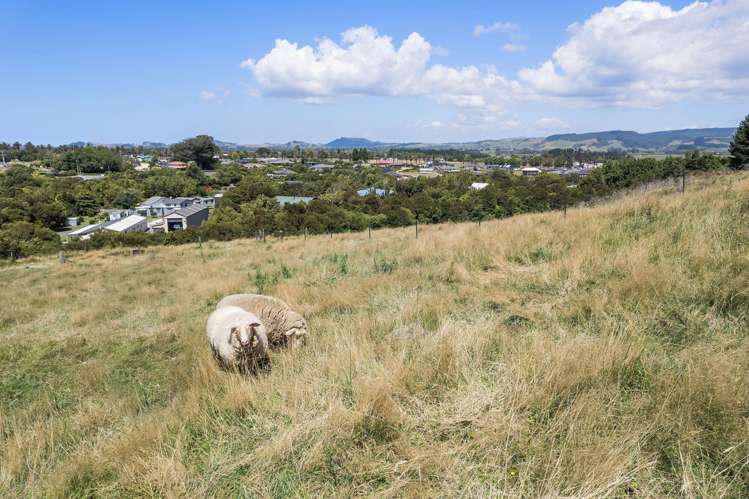 36A Orchard Road Waihi_16