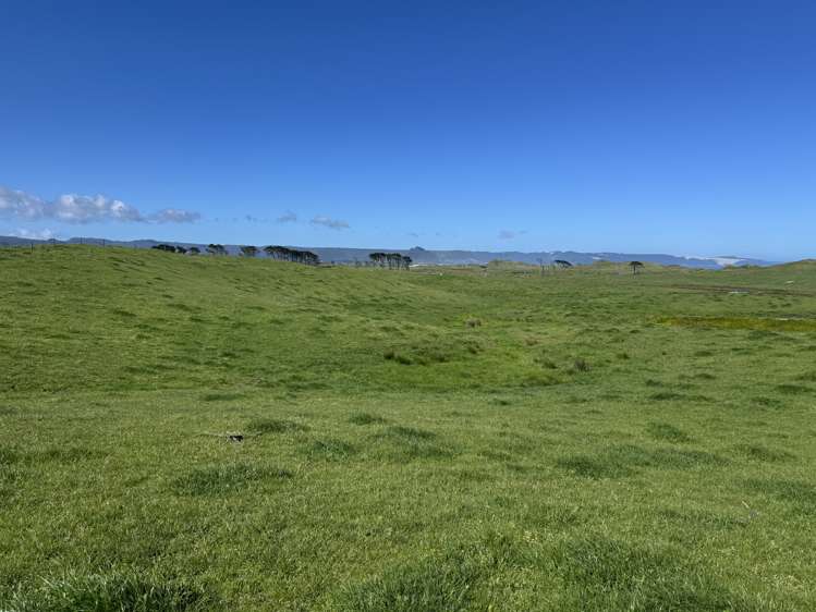 Sandhills Road Ahipara_8