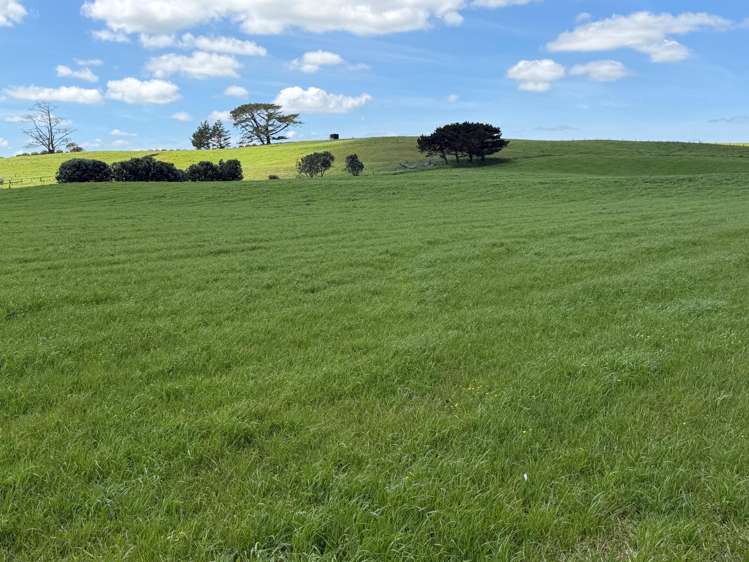 454 West Coast Road Te Kopuru_7