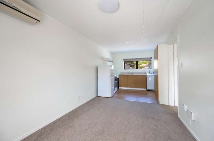 2/41 Manson Avenue Stoke_9