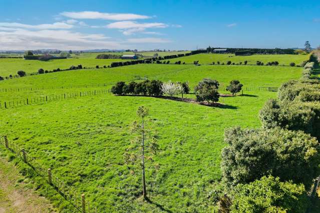 403 Glenbrook Road Karaka_4