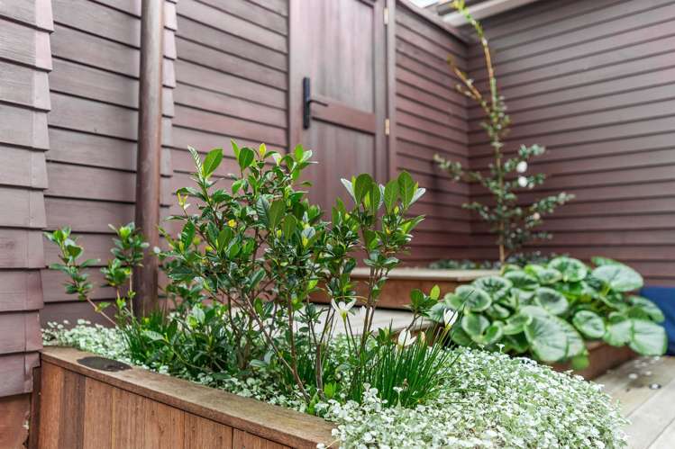 1/69 Princes Street Northcote Point_15