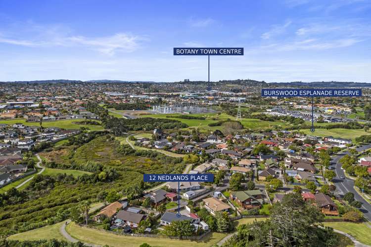 12 Nedlands Place Pakuranga Heights_29